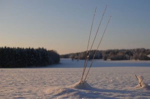 The membrane will break by fibres